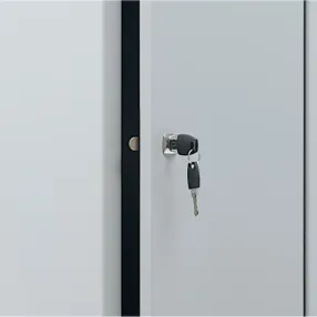 замок ключевой cyber lock cl 1/3 b201q с защёлкой (локер)