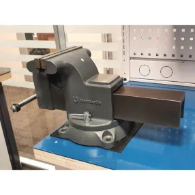 тиски чугунные поворотные с наковальней xl 200