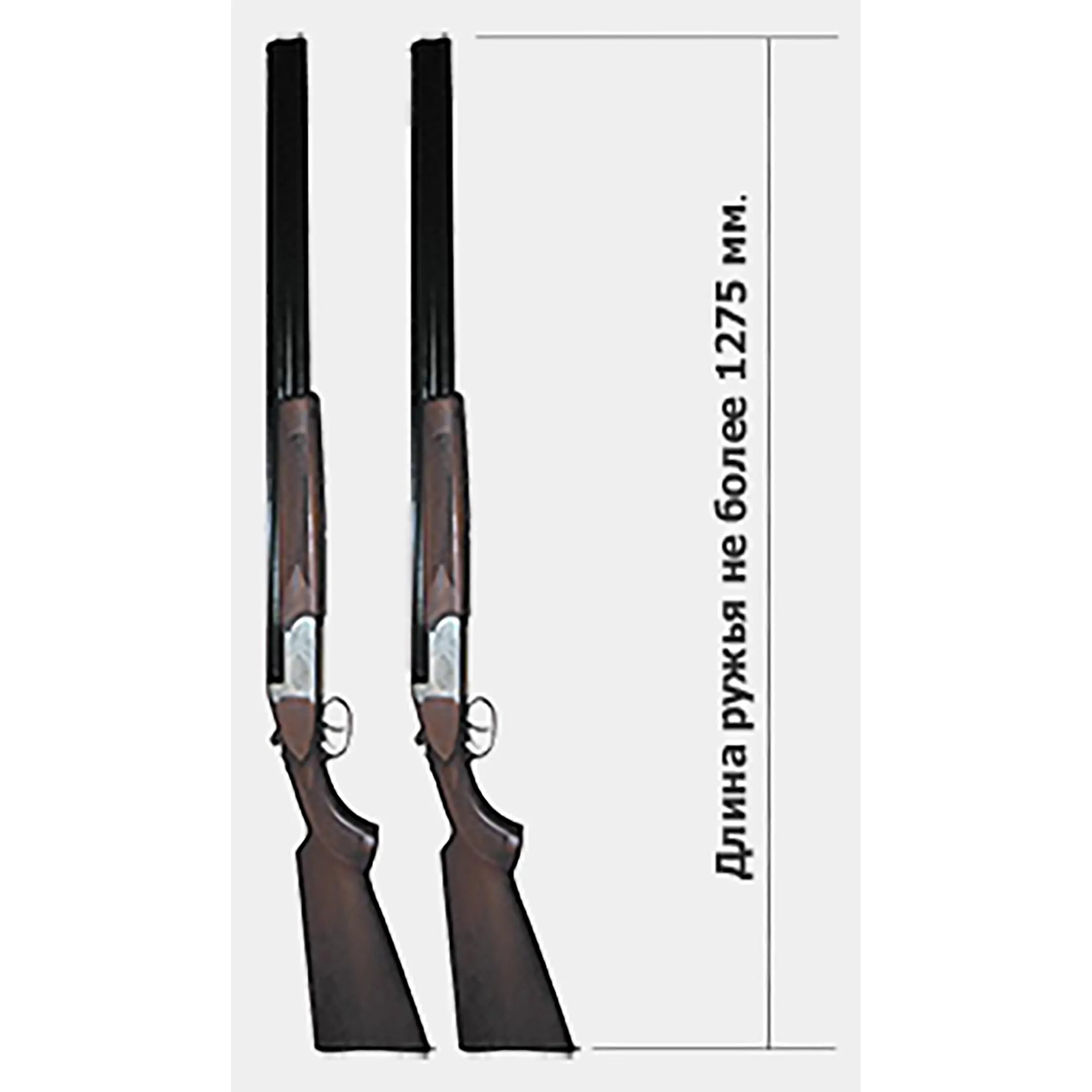 оружейный шкаф д2